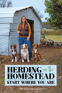 Herding on the Homestead