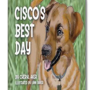 Cisco's Best Day