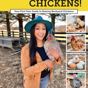Eggcited for Chickens