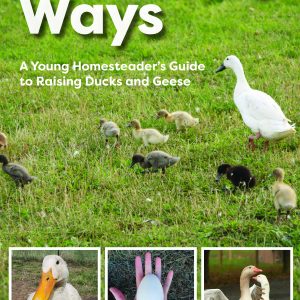 Waddling Ways