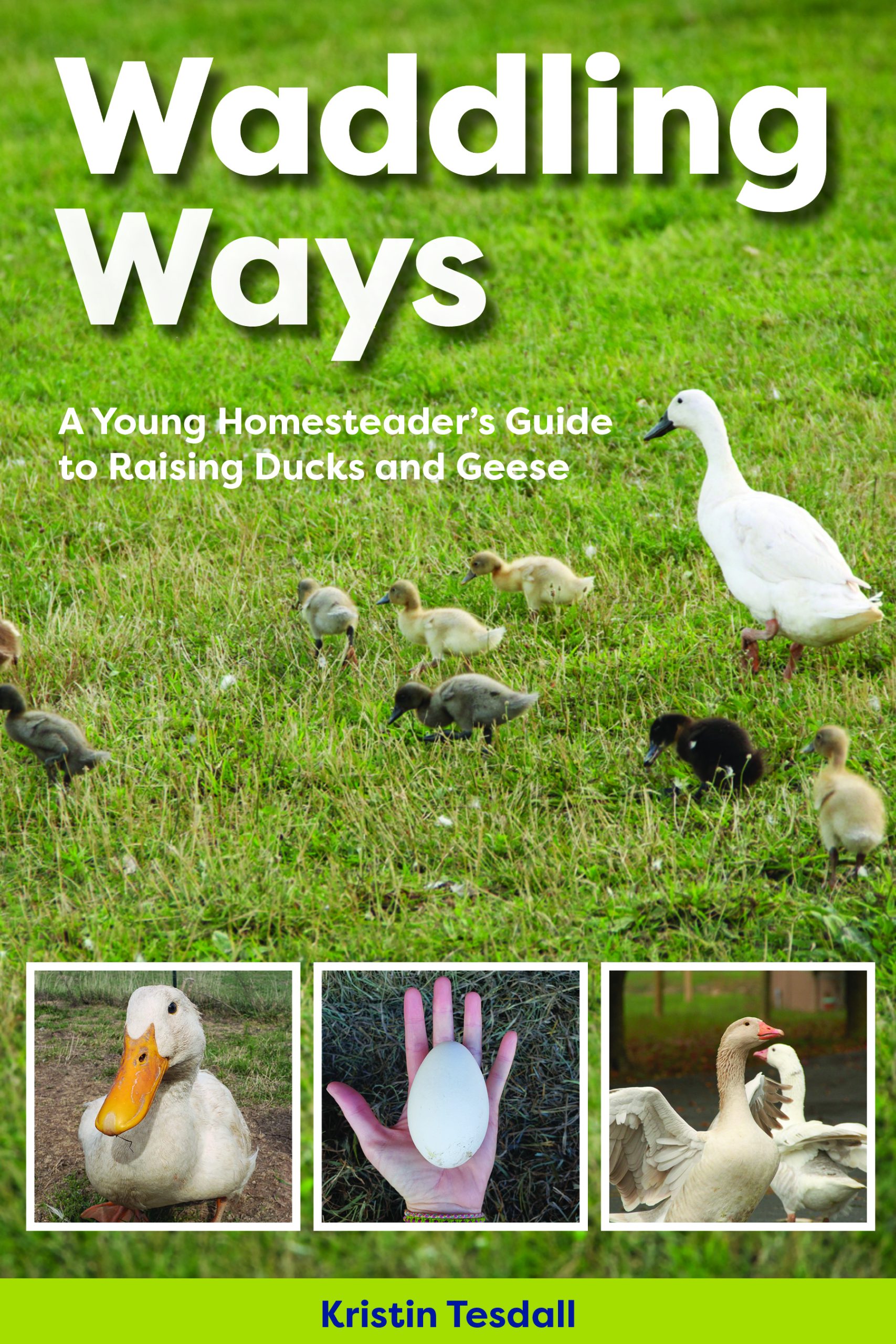 Waddling Ways